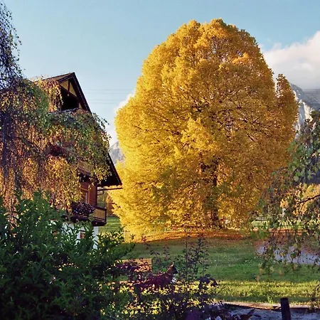 Unerzhuberhof Apartmán