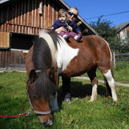 Lejlighed Unerzhuberhof